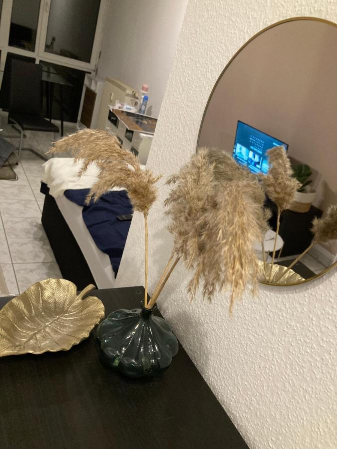 ויסבאדן Homeoffice Business Nature View Mit Parkplatz Zentral, Hauptbahnhof Und Kuche מראה חיצוני תמונה